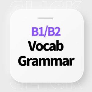 Vocab/Grammar (B1/B2)